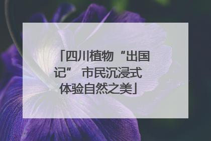 四川植物“出国记” 市民沉浸式体验自然之美