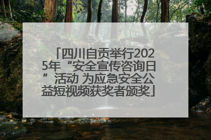 四川自贡举行2025年“安全宣传咨询日”活动 为应急安全公益短视频获奖者颁奖