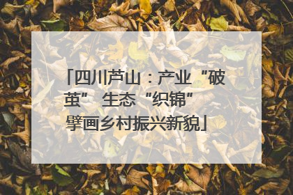 四川芦山：产业“破茧” 生态“织锦” 擘画乡村振兴新貌