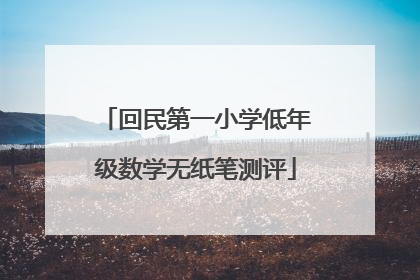 回民第一小学低年级数学无纸笔测评