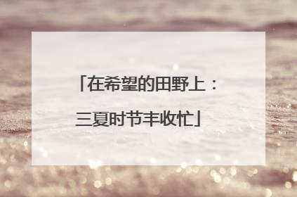 在希望的田野上：三夏时节丰收忙