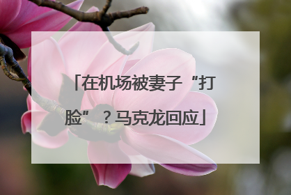 在机场被妻子“打脸”？马克龙回应