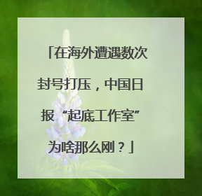 在海外遭遇数次封号打压，中国日报“起底工作室”为啥那么刚？
