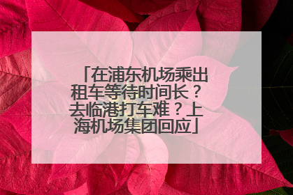 在浦东机场乘出租车等待时间长？去临港打车难？上海机场集团回应