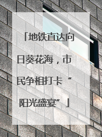 地铁直达向日葵花海，市民争相打卡“阳光盛宴”
