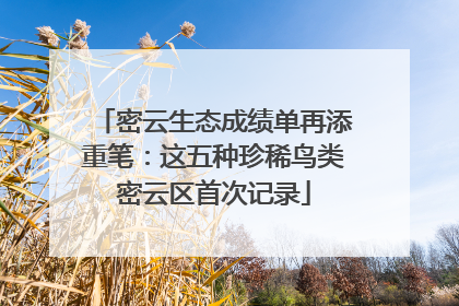 密云生态成绩单再添重笔：这五种珍稀鸟类密云区首次记录