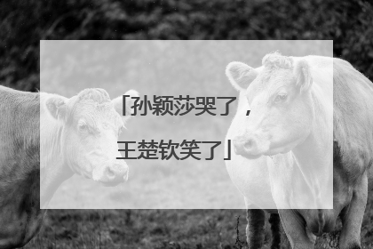 孙颖莎哭了，王楚钦笑了