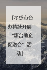 孝感市台办持续开展“惠台助企促融合”活动