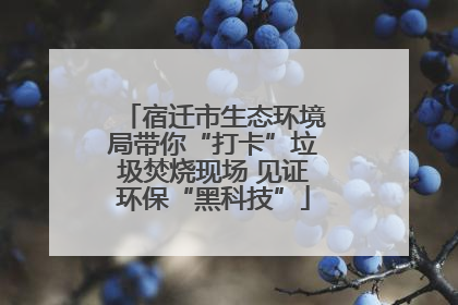 宿迁市生态环境局带你“打卡”垃圾焚烧现场 见证环保“黑科技”