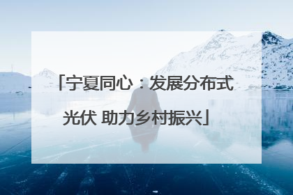 宁夏同心：发展分布式光伏 助力乡村振兴