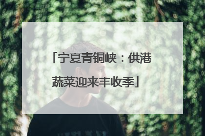 宁夏青铜峡：供港蔬菜迎来丰收季