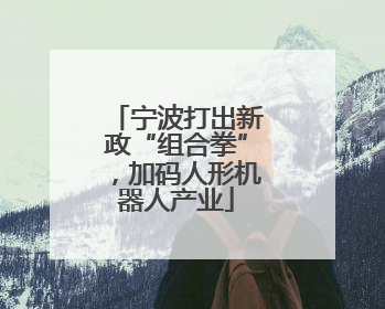 宁波打出新政“组合拳”，加码人形机器人产业