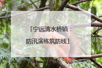 宁远清水桥镇：防汛演练筑防线