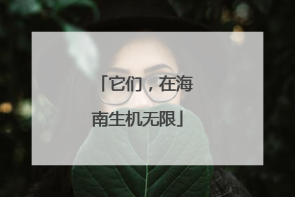 它们，在海南生机无限