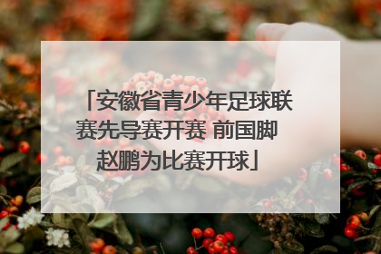 安徽省青少年足球联赛先导赛开赛 前国脚赵鹏为比赛开球