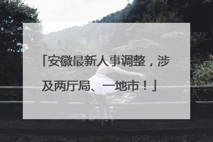 安徽最新人事调整，涉及两厅局、一地市！