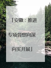 安徽：推进专项督察向深向实开展