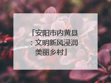 安阳市内黄县：文明新风浸润美丽乡村