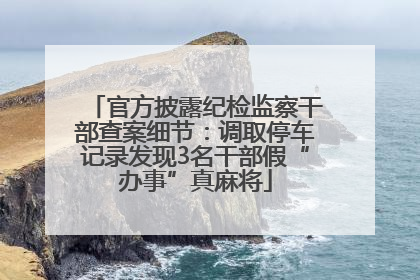 官方披露纪检监察干部查案细节：调取停车记录发现3名干部假“办事”真麻将