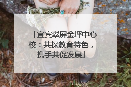 宜宾翠屏金坪中心校：共探教育特色，携手共促发展