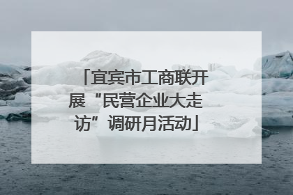 宜宾市工商联开展“民营企业大走访”调研月活动