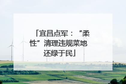 宜昌点军：“柔性”清理违规菜地 还绿于民