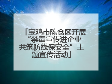 宝鸡市陈仓区开展“禁毒宣传进企业 共筑防线保安全”主题宣传活动