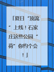 夏日“顶流”上线！石家庄这些公园“荷”你约个会！