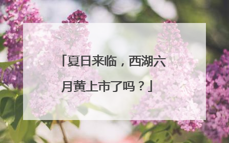 夏日来临，西湖六月黄上市了吗？