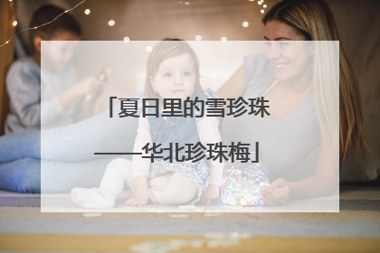 夏日里的雪珍珠——华北珍珠梅