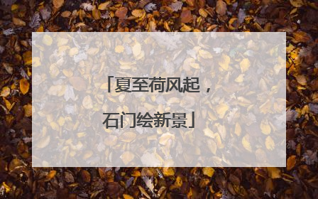 夏至荷风起，石门绘新景