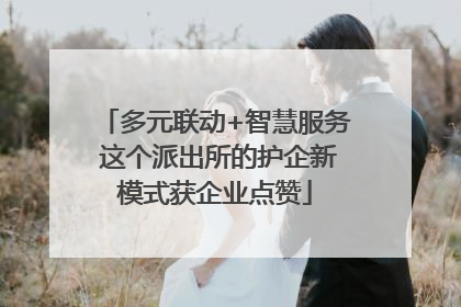 多元联动+智慧服务 这个派出所的护企新模式获企业点赞