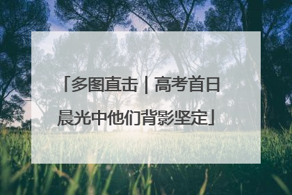 多图直击｜高考首日 晨光中他们背影坚定