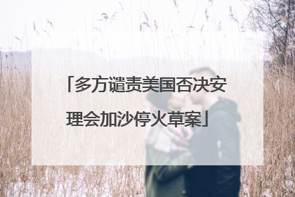 多方谴责美国否决安理会加沙停火草案