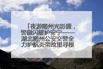 夜游随州光影盛，警徽闪耀护安宁——湖北随州公安交警全力护航炎帝故里寻根节夜游活动侧记