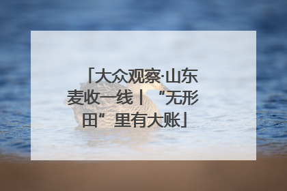 大众观察·山东麦收一线丨“无形田”里有大账