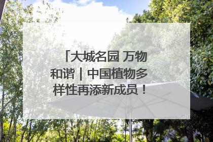 大城名园 万物和谐｜中国植物多样性再添新成员！它只在西藏墨脱