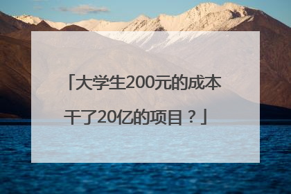 大学生200元的成本干了20亿的项目？