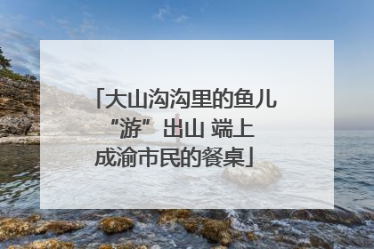 大山沟沟里的鱼儿 “游”出山 端上成渝市民的餐桌