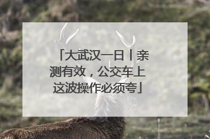 大武汉一日丨亲测有效，公交车上这波操作必须夸