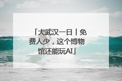 大武汉一日丨免费人少，这个博物馆还能玩AI