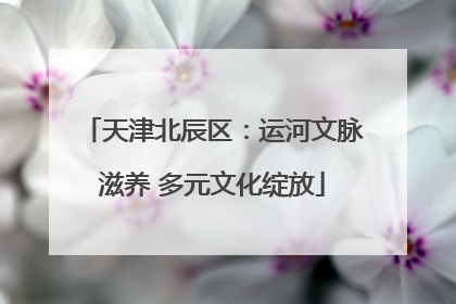 天津北辰区：运河文脉滋养 多元文化绽放