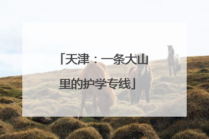 天津：一条大山里的护学专线