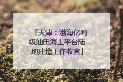 天津：渤海亿吨级油田海上平台陆地建造工作收官