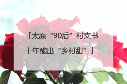 太原“90后”村支书十年酿出“乡村甜”