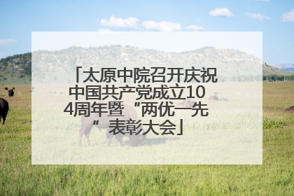 太原中院召开庆祝中国共产党成立104周年暨“两优一先”表彰大会