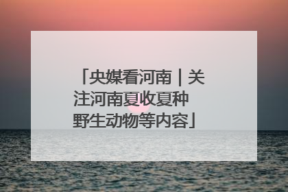 央媒看河南｜关注河南夏收夏种 野生动物等内容