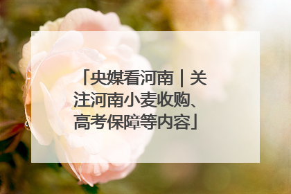 央媒看河南｜关注河南小麦收购、高考保障等内容
