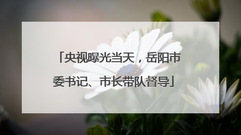 央视曝光当天，岳阳市委书记、市长带队督导