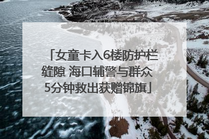 女童卡入6楼防护栏缝隙 海口辅警与群众5分钟救出获赠锦旗